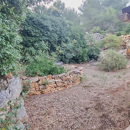Maisonnette Chez L'Habitant La Ciotat Kültér fotó