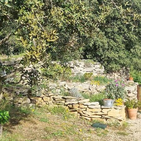 Maisonnette Chez L'Habitant La Ciotat Kültér fotó