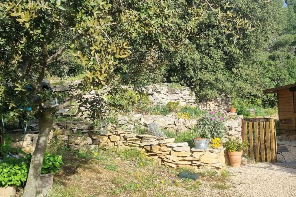 Maisonnette Chez L'Habitant La Ciotat Kültér fotó